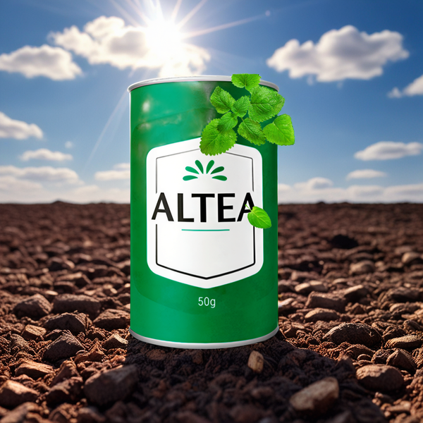 Altea