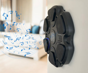 Boxing Music Box a 298 LEU