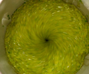 Chef Tony Kitchen Robot a 99,99€