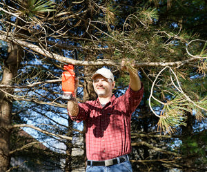 Minichain Saw a 79,99€