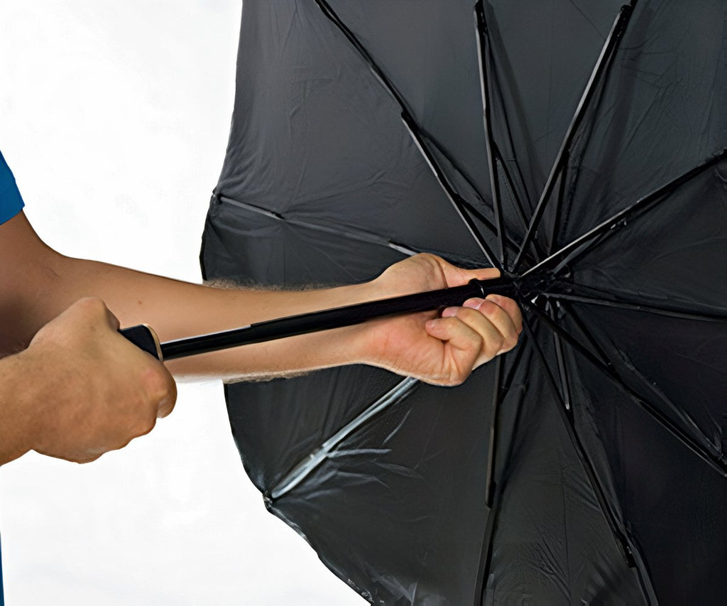 Starlyf Car Parasol a 39,99€