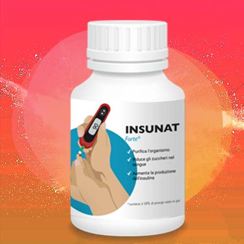 INSUNAT